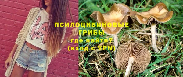тгк Ладушкин